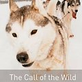 Cover Art for 9780194237529, The Call of the Wild by Jack London