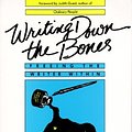 Cover Art for 9780877733751, Writing Down the Bones Freeing the Writer Within by Natalie Goldberg