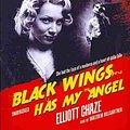 Cover Art for 9781433247323, Black Wings Has My Angel by Elliott Chaze