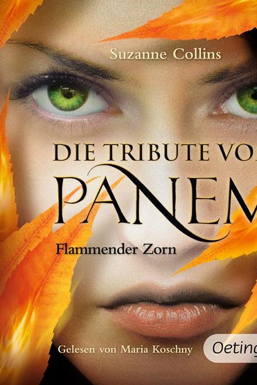 Cover Art for 9783837360493, Flammender Zorn by Suzanne Collins