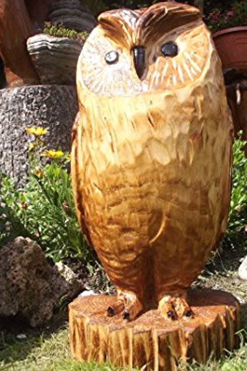 Cover Art for 9788055112206, Garden Decor Sculpture Carved Wooden Owl by Joanne Kathleen Rowlingová