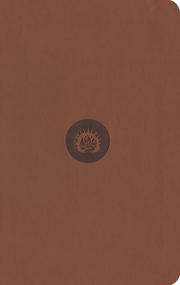 Cover Art for 9781642893502, ESV Reformation Study Bible, Student Edition - Brown, Leather-Like by R. C. Sproul