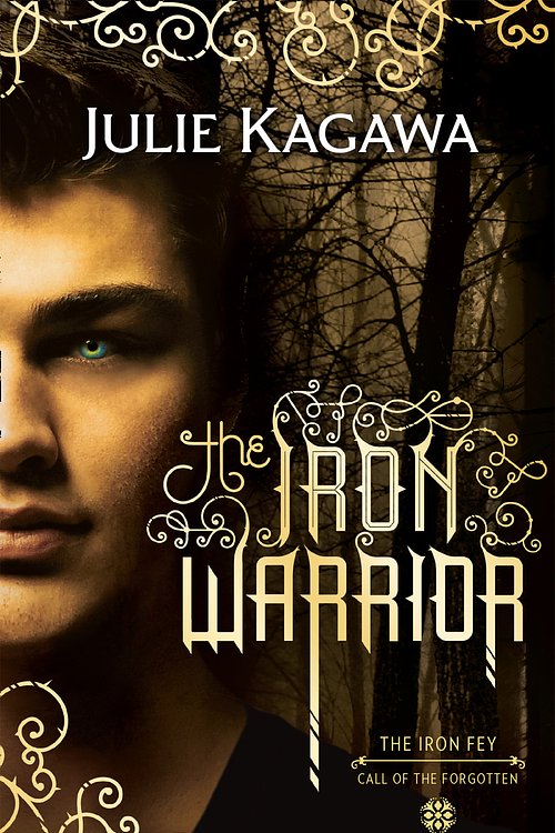 Cover Art for 9781848454088, The Iron Warrior (The Iron Fey) by Julie Kagawa