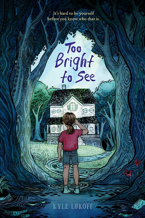 Cover Art for 9780593346303, Too Bright to See by Kyle Lukoff