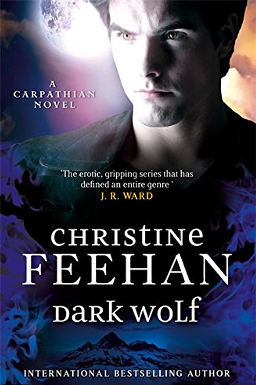 Cover Art for 9780349402161, Dark Wolf by Christine Feehan