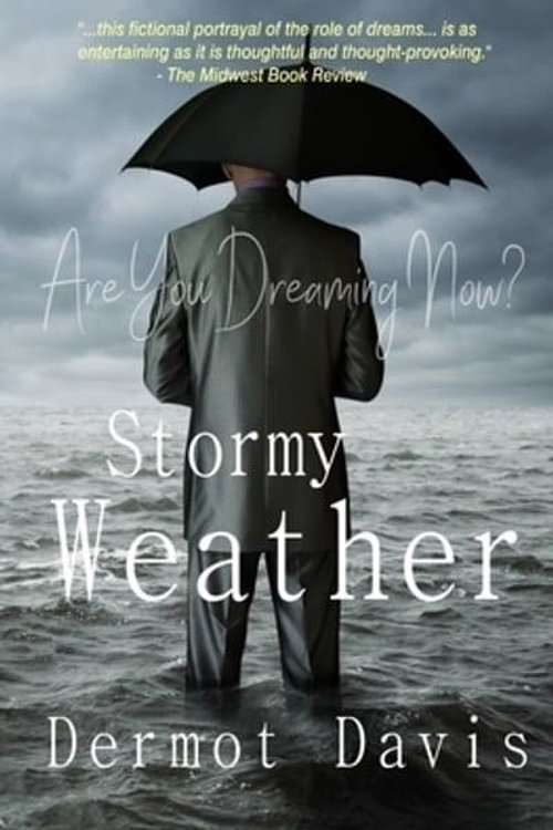 Cover Art for 9780984418114, Stormy Weather by Dermot Davis