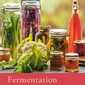 Cover Art for 9781408873540, Fermentation by Rachel de Thample