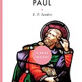 Cover Art for 9781402768859, PAUL (A BRIEF INSIGHT) by E. P. Sanders