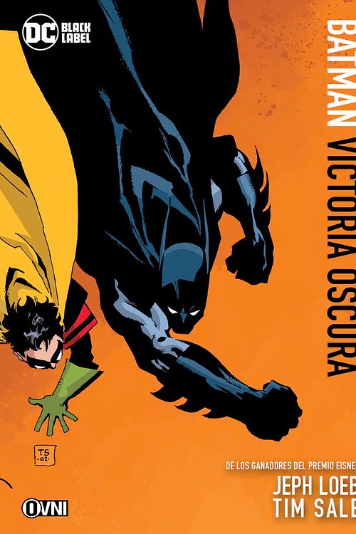 Cover Art for 9789877249552, Batman: Victoria oscura by Jeph Loeb