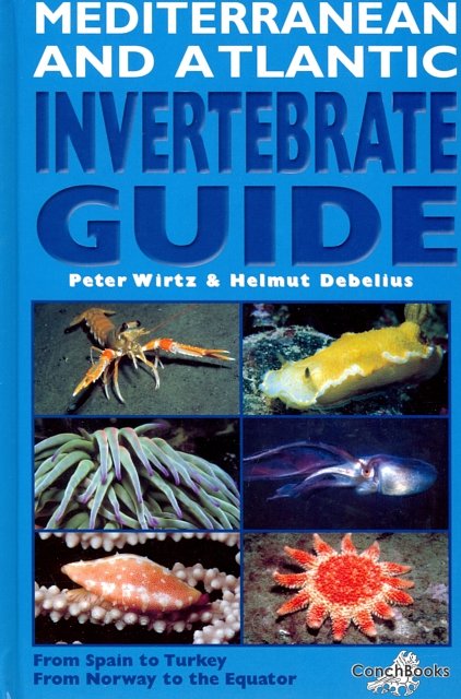 Cover Art for 9783925919626, Mediterranean and Atlantic Invertebrate Guide by P? Wirtz