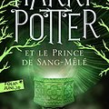 Cover Art for 9782070643073, Harry Potter Et Le Prince De Sang-mele by J. K. Rowling