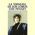 Cover Art for 9788498382037, La ternura de los lobos by Stef Penney