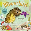 Cover Art for 9781529092240, The Bowerbird by Julia Donaldson