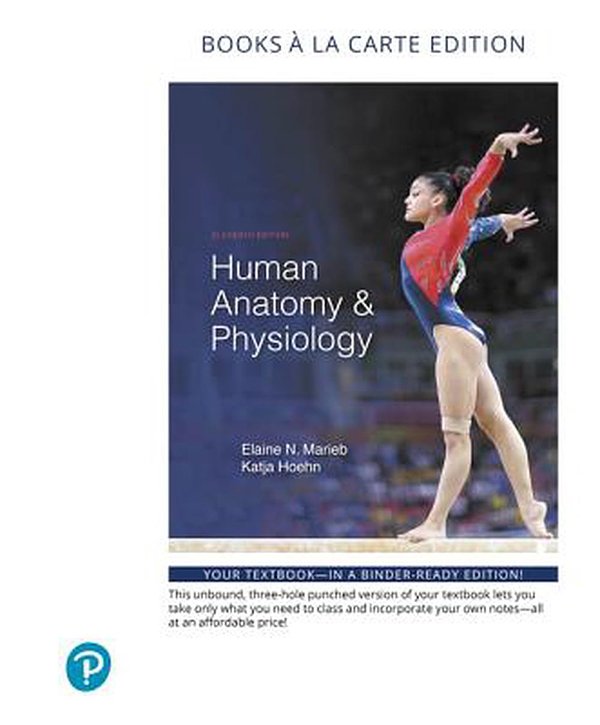 Cover Art for 9780134807423, Human Anatomy & Physiology, Books a la Carte Edition by Elaine Marieb, Katja Hoehn