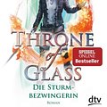 Cover Art for 9783423717892, Die Sturmbezwingerin by Sarah J. Maas