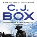 Cover Art for 9780593676530, Storm Watch by Box, C J