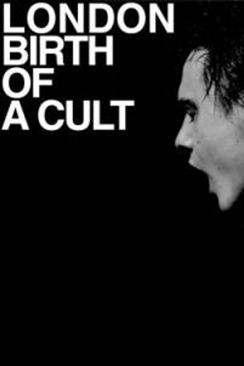 Cover Art for 9783865211699, Hedi Slimane: London Birth Of A Cult by Hedi Slimane