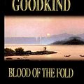 Cover Art for 9780613212342, Blood of the Fold by Terry Goodkind