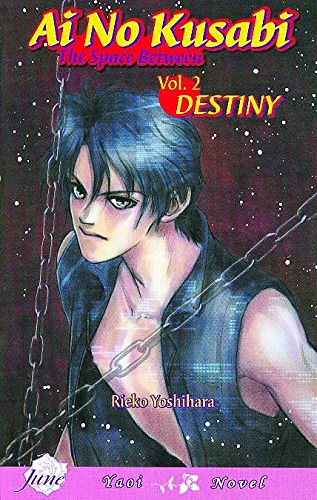Cover Art for 9781569707838, Ai No Kusabi the Space Between: Destiny (Yaoi Novel) v. 2 by Reiko Yoshihara