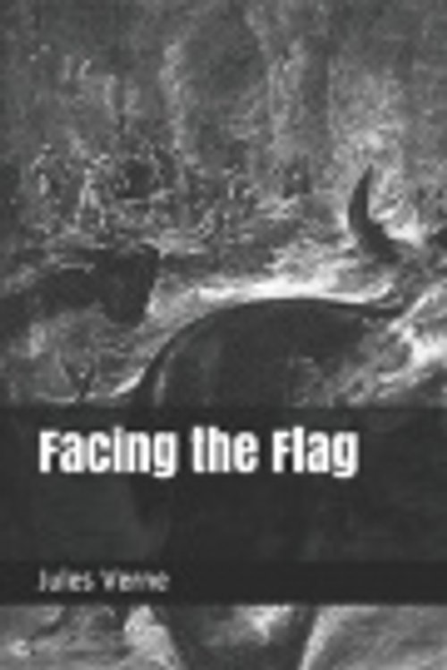 Cover Art for 9781089860051, Facing the Flag by Jules Verne