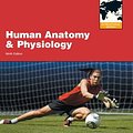 Cover Art for 9780321799173, Human Anatomy and Physiology, by Marieb, 9th INTERNATIONAL EDITION by Elaine N. Marieb, Katja Hoehn