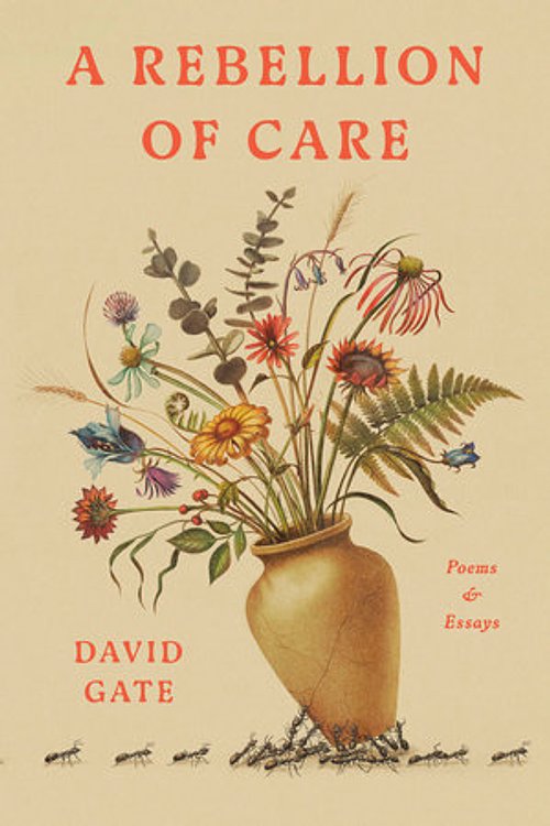 Cover Art for 9780593602171, A Rebellion of Care: Poems and Essays by David Gate