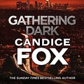 Cover Art for 9781787462069, Gathering Dark by Candice Fox