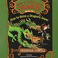 Cover Art for 9781478954125, How to Train Your Dragon: How to Seize a Dragon's Jewel by Cressida Cowell