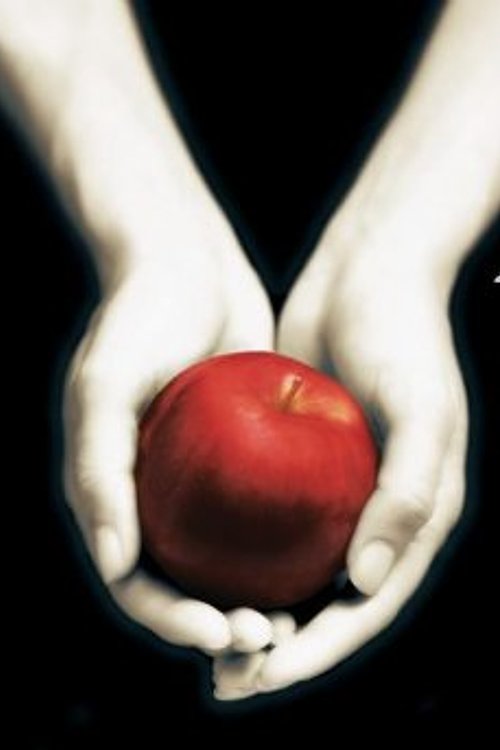 Cover Art for 9789049801953, Twilight by Stephenie Meyer