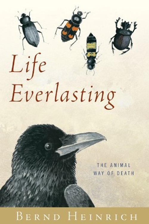 Cover Art for 9780547752662, Life Everlasting: The Animal Way of Death by Bernd Heinrich