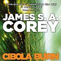 Cover Art for B00GFHFZY8, Cibola Burn by James S. a. Corey