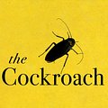 Cover Art for 9781529112924, The Cockroach by Ian McEwan