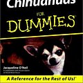 Cover Art for 9780764552847, Chihuahuas for Dummies by O′Neil, Jacqueline