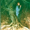 Cover Art for B002CIY900, Nancy Drew 33: The Witch Tree Symbol (Nancy Drew Mysteries) by Carolyn Keene