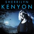 Cover Art for 9780749956363, The Dream-Hunter by Sherrilyn Kenyon