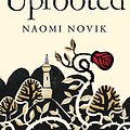 Cover Art for 9781447294153, Uprooted by Naomi Novik