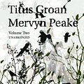 Cover Art for 9781473511507, Titus Groan by Mervyn Peake