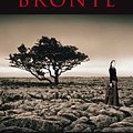 Cover Art for 9781908533036, Wuthering Heights by Emily Bronte