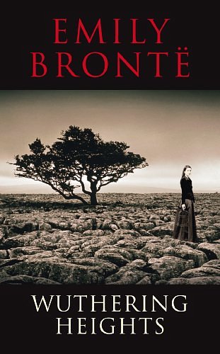 Cover Art for 9781908533036, Wuthering Heights by Emily Bronte