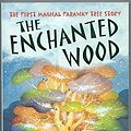 Cover Art for 8601404237102, The enchanted wood (The Magic Faraway Tree) by Enid Blyton