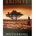 Cover Art for 9781500462949, Wuthering Heights by Emily Bronte