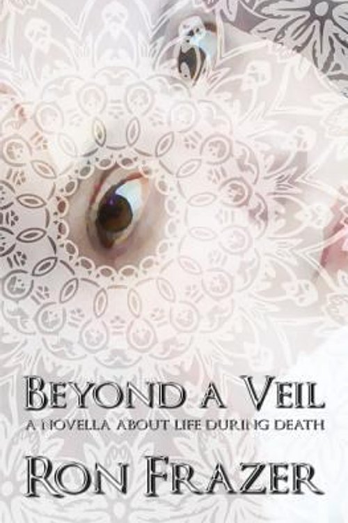 Cover Art for 9780990697435, Beyond a Veil by Ron Frazer