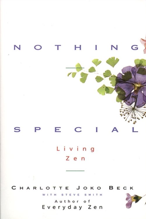 Cover Art for 9780062511171, Nothing Special by Charlotte Joko Beck