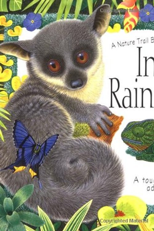 Cover Art for 9781571453525, In the Rain Forest: A Maurice Pledger Nature Trail Book: Touch-and-Feel Adventure (Maurice Pledger Nature Trails) by Maurice Pledger
