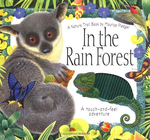 Cover Art for 9781571453525, In the Rain Forest: A Maurice Pledger Nature Trail Book: Touch-and-Feel Adventure (Maurice Pledger Nature Trails) by Maurice Pledger