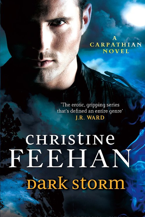 Cover Art for 9780749957544, Dark Storm: Number 23 in series by Christine Feehan