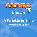 Cover Art for 9781610624411, A Wrinkle in Time: Shmoop Literature Guide by Shmoop