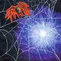 Cover Art for 9780595237913, Along Came a Spider by Maryanne Raphael