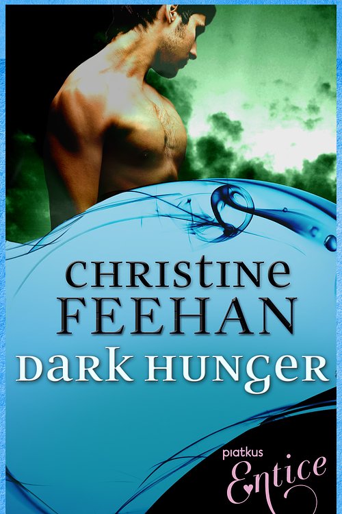 Cover Art for 9781405522458, Dark Hunger: Number 14 in series by Christine Feehan