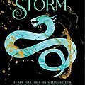 Cover Art for 8601410502072, Siege and Storm by Leigh Bardugo